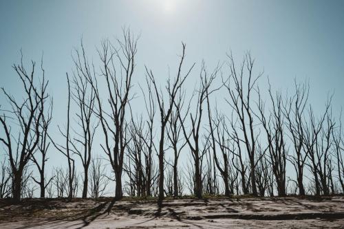 Epecuen-pantalla-45